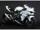 2015-2022 Kawasaki Ninja H2 Motorcycle Fairings - White Silver Green UK