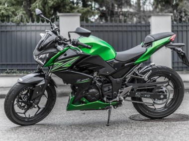 2015-2016 Kawasaki Z250/Z300 Motorcycle Fairing Kits - Green Matte Black UK