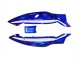 1996-2007 Yamaha YZF600R Thundercat Motorcycle Fairings - Blue White Black UK