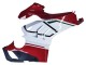 2020-2021 Ducati Panigale V4 V4S Motorcycle Fairings - White Red Green Matte Black UK