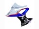 2017-2018 BMW S1000RR Bike Fairings - White Blue Red Glossy Black UK