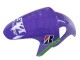 2006-2011 Aprilia RS125 Motorcycle Fairings - Purple Green Red UK