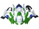 2021-2025 Kawasaki ZX10R Motorcycle Fairings - White Green Blue Black UK