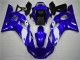 1998-2002 White Blue Yamaha YZF R6 Bike Fairings & Bodywork 1998-2002 White Blue Yamaha YZF R6 Bike Fairings & Bodywork