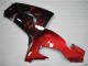 2006-2007 Red Flame Kawasaki ZX10R Motorcycle Fairings Kit 2006-2007 Red Flame Kawasaki ZX10R Motorcycle Fairings Kit