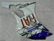 2006-2007 White Blue Yamaha YZF R6 Bike Fairings & Bodywork