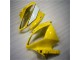 2006-2007 Yellow White Black Yamaha YZF R6 Motorbike Fairing Kits