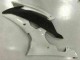 2008-2016 White Yamaha YZF R6 Motorcycle Bodywork 2008-2016 White Yamaha YZF R6 Motorcycle Bodywork